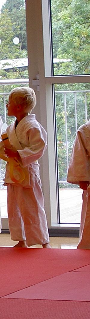 Judo Classes at Elmbridge includeStoke D'Abernon Village Hall Cobham Surrey