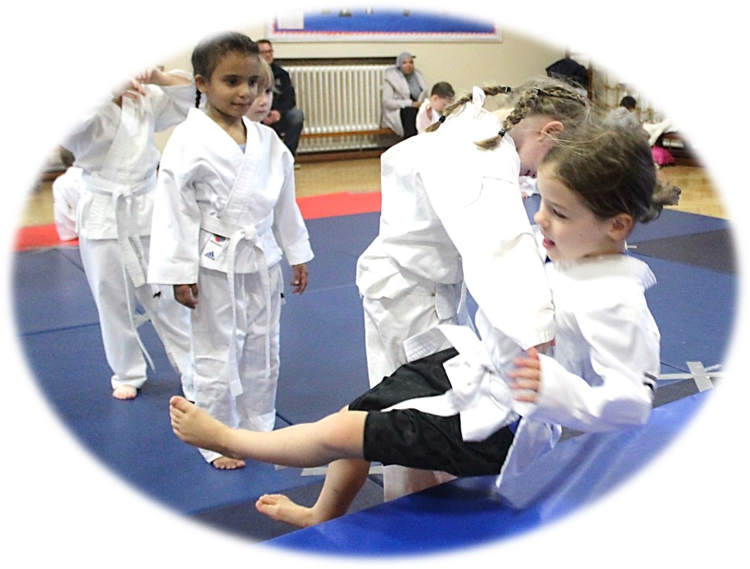 Judo Photo - Class for teenagers and adults at Elmbridge Xcel Sports Centre Walton on Thames on Thursdays