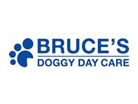 Bruces Doggy Day Care Cobham and Ripley - Collects from Weybridge Surrey